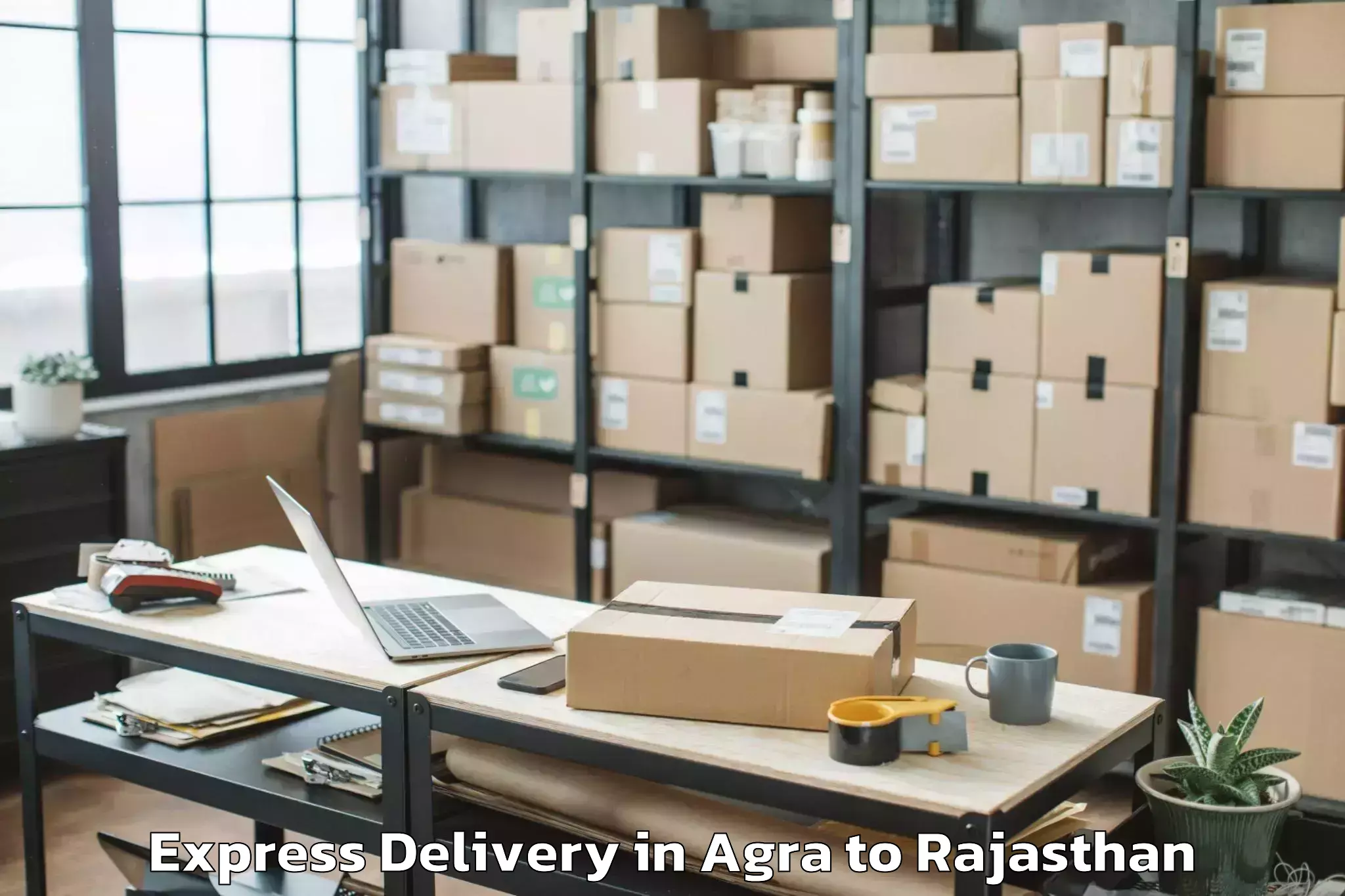 Professional Agra to Janardan Rai Nagar Rajasthan V Express Delivery